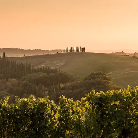Chianti Escape Poolvines Tenuta Bibbiano-i Sodi فيلة كاستيلّينا إنْ كْيانت