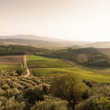 Chianti Escape Poolvines Tenuta Bibbiano-i Sodi كاستيلّينا إنْ كْيانت