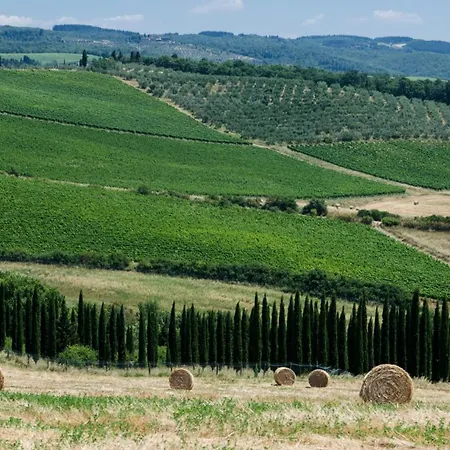 Chianti Classico Wine Tenuta Di Bibbiano - I Sodi